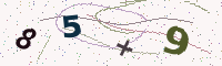 Arithmetic verification (image)