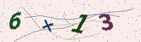 Arithmetic captcha (image)